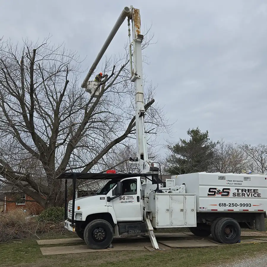 s-and-s-tree-service-new-baden-il-gallery-01