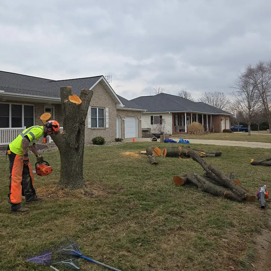 s-and-s-tree-service-new-baden-il-gallery-04