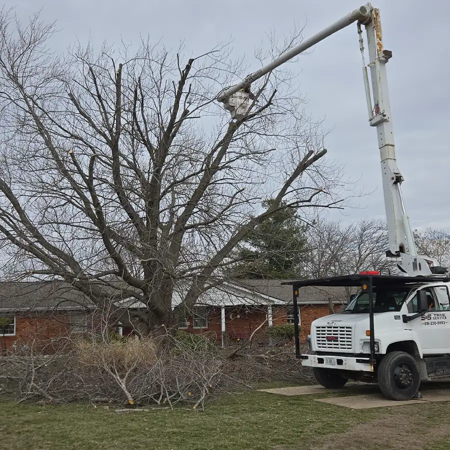 s-and-s-tree-service-new-baden-il-gallery-05