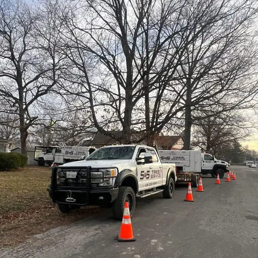 s-and-s-tree-service-new-baden-il-gallery-06