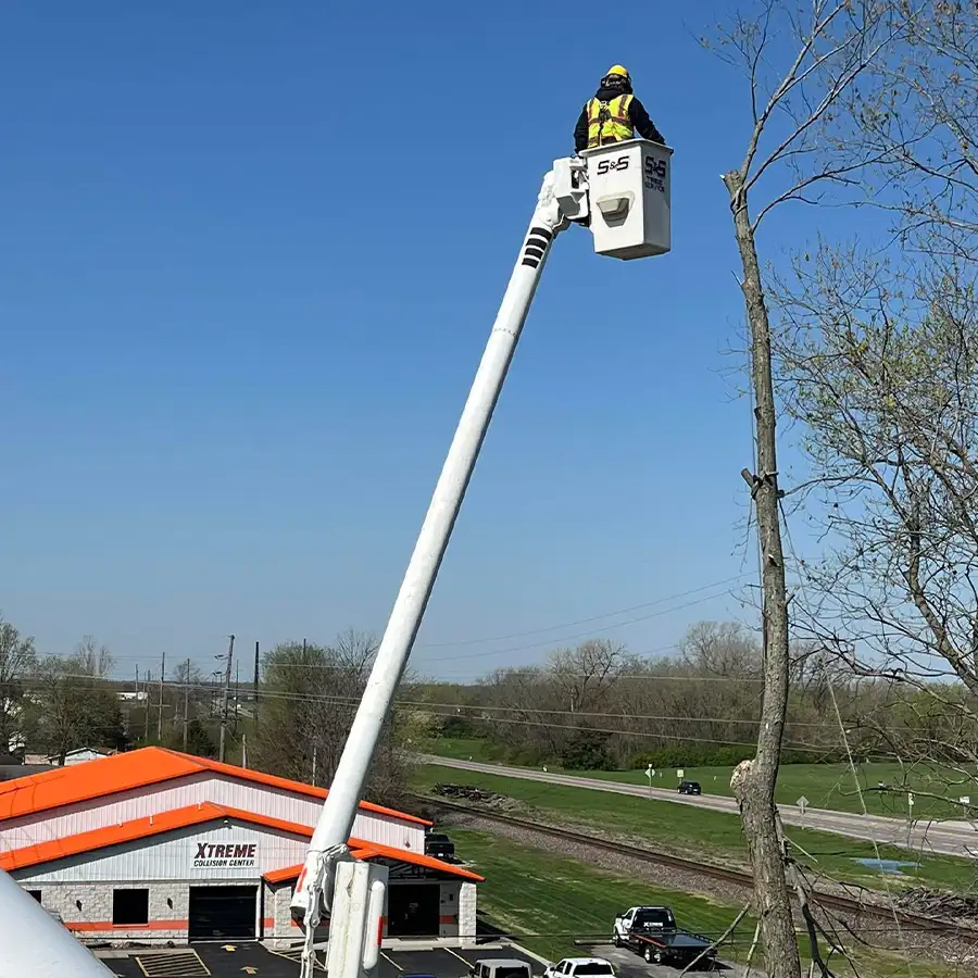 s-and-s-tree-service-new-baden-il-gallery-08