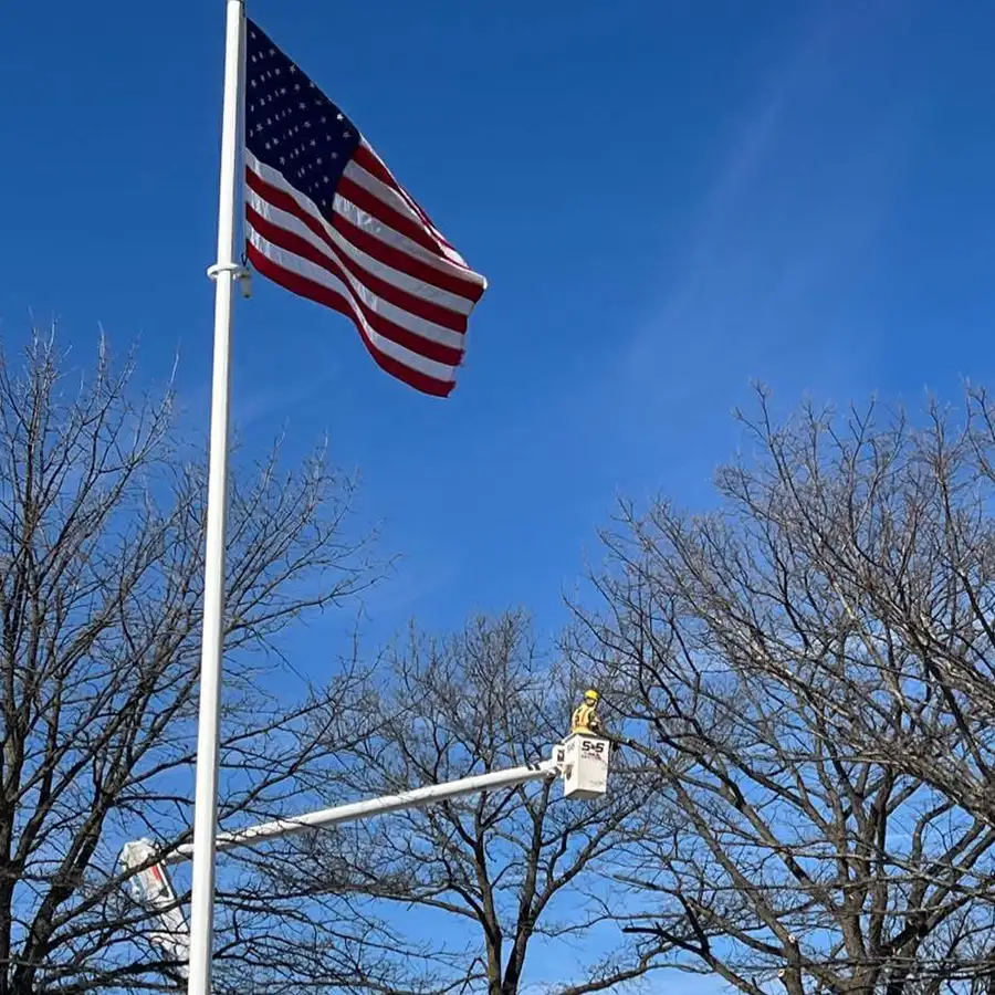 s-and-s-tree-service-new-baden-il-gallery-10