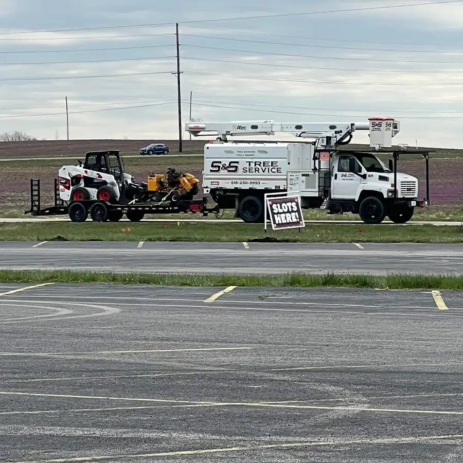 s-and-s-tree-service-new-baden-il-gallery-11