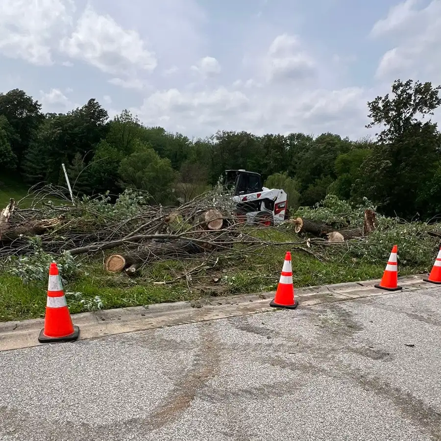 s-and-s-tree-service-new-baden-il-gallery-15