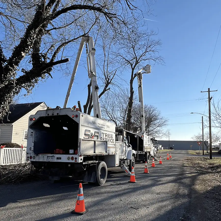 s-and-s-tree-service-new-baden-il-gallery-18