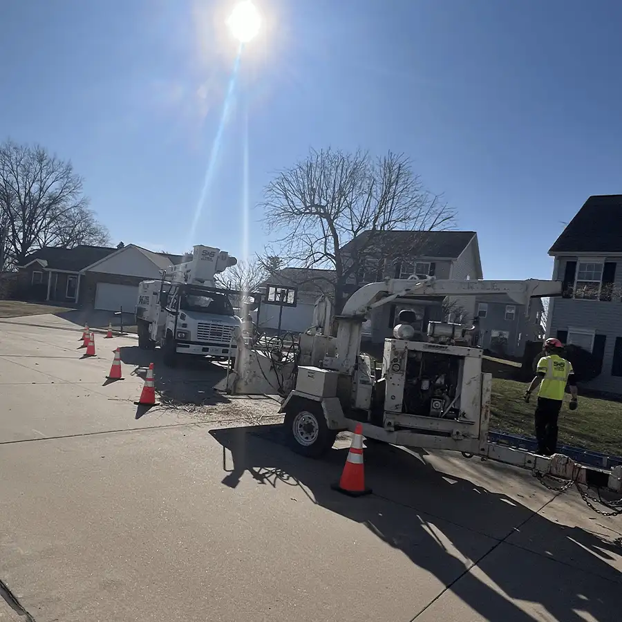 s-and-s-tree-service-new-baden-il-gallery-20