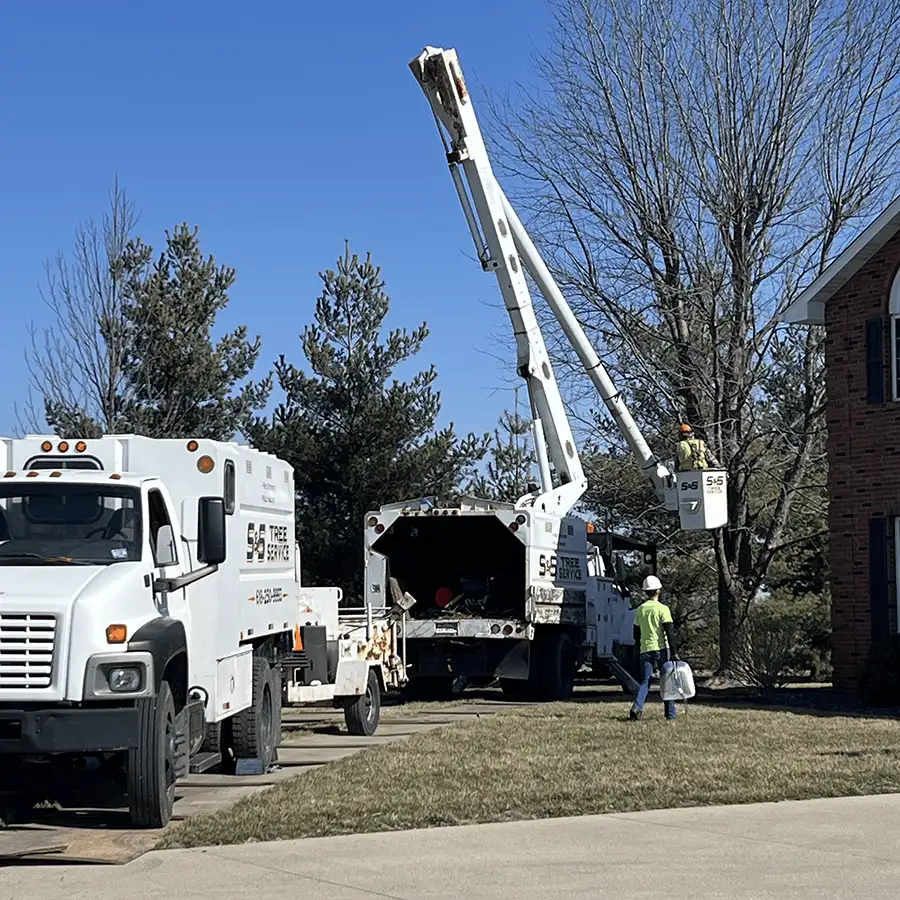 s-and-s-tree-service-new-baden-il-gallery-21