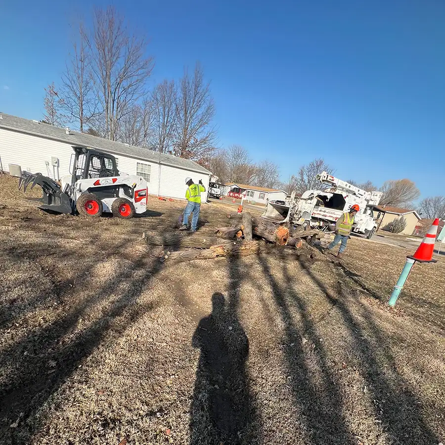 s-and-s-tree-service-new-baden-il-gallery-24